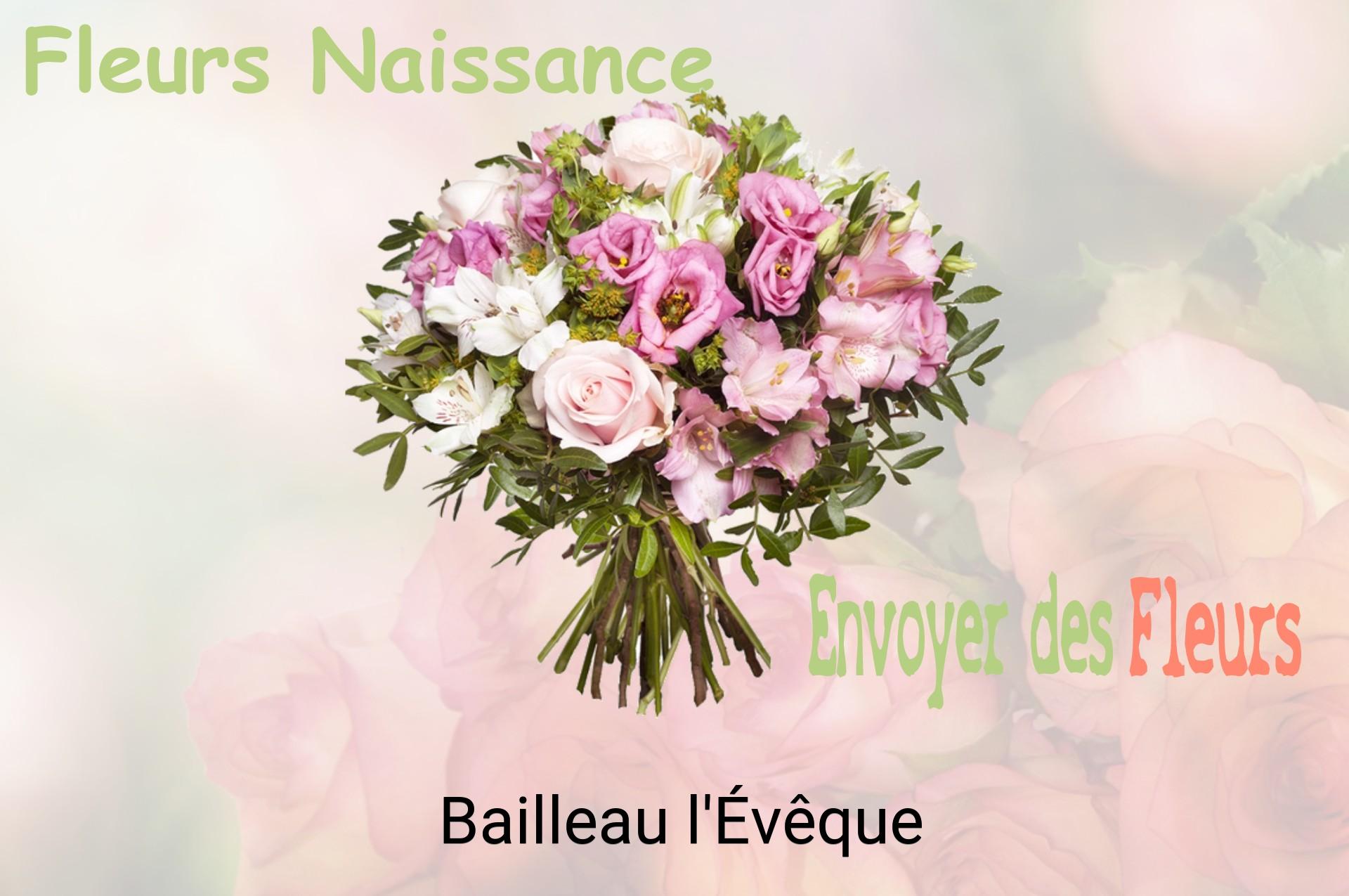 Bouquet de fleurs de naissance livré à Bailleau-l'Évêque